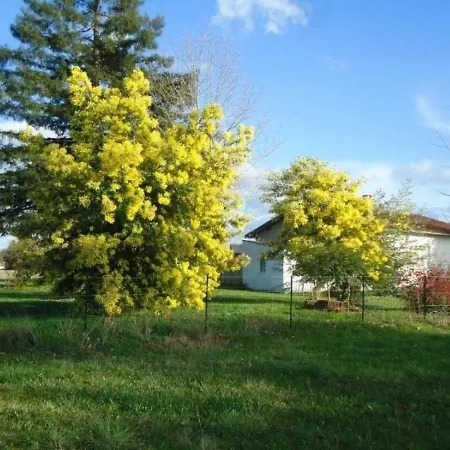 House Enjalbert